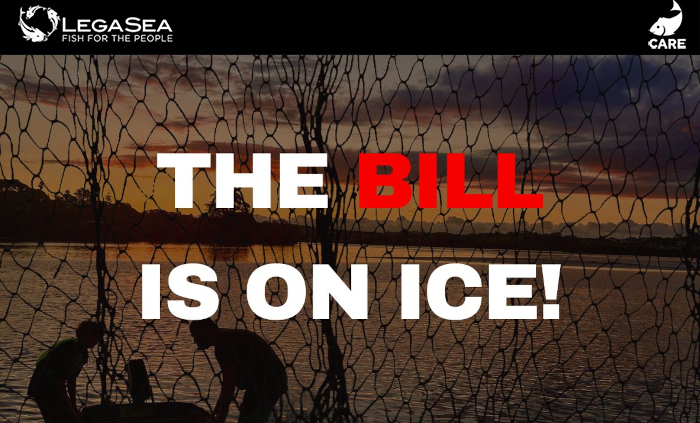 The Bill is on Ice!